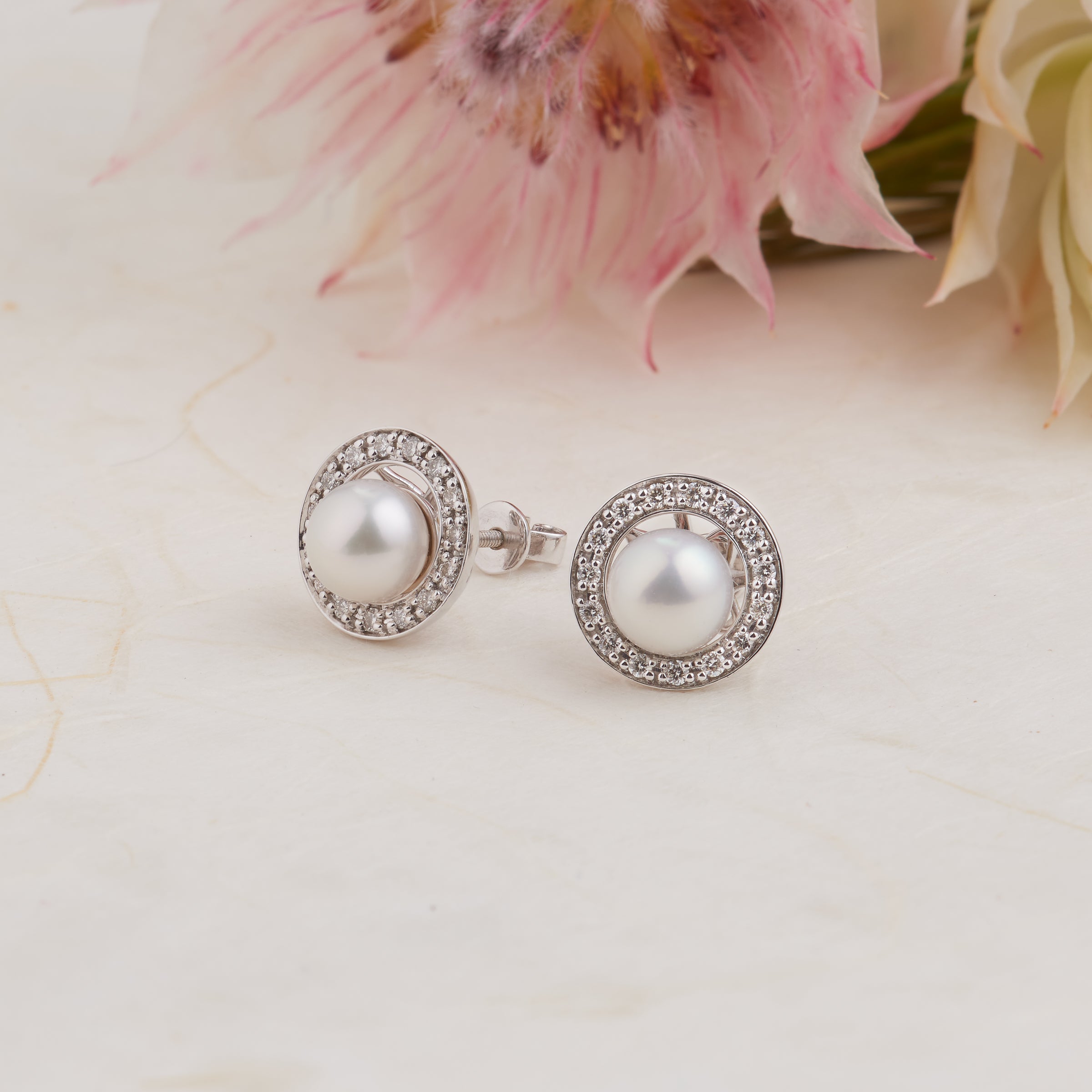 Sterling Silver Pink Freshwater Pearl Stud Earrings  Grahams Jewellers